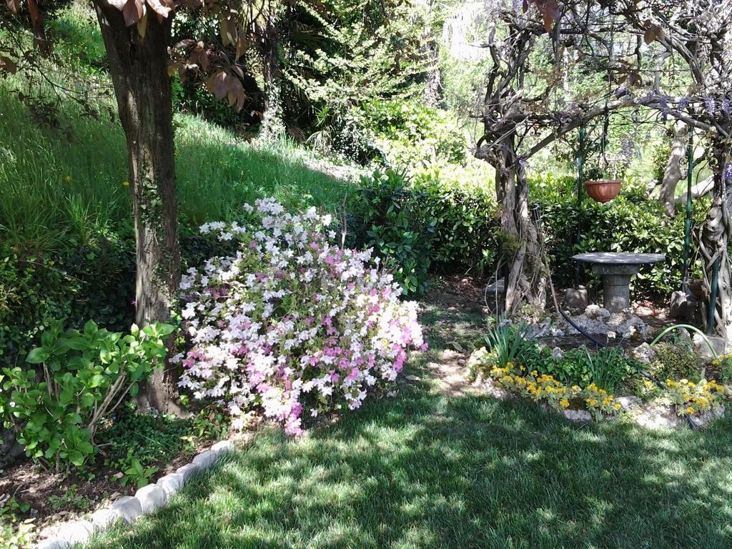 B&B Villa Adelaide Como Eksteriør bilde